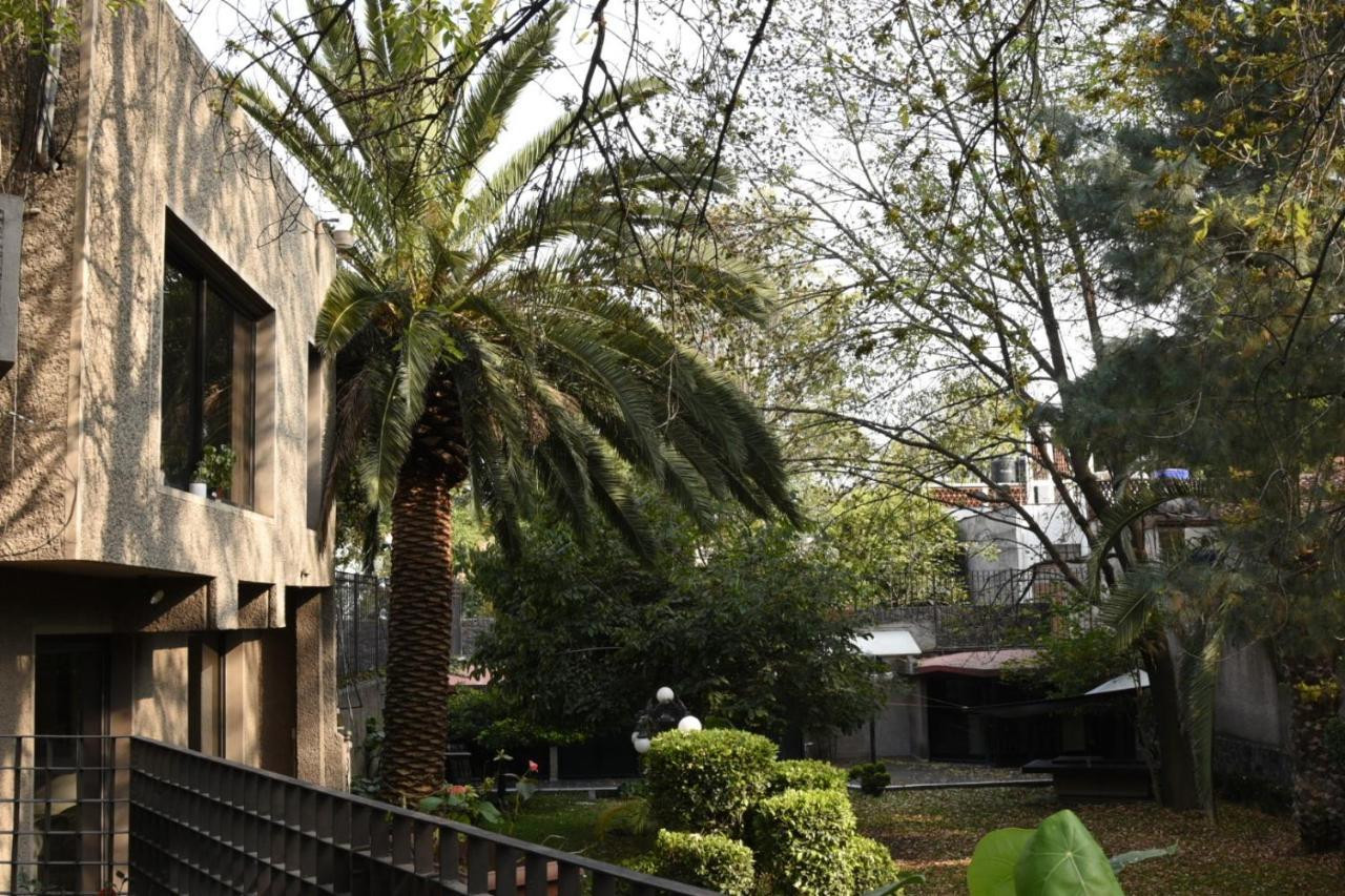 Casa Lulú Coyoacán Alvaro Obregon Exterior foto